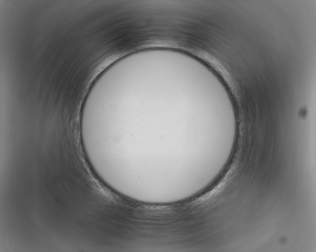 X0000116331129201001131019