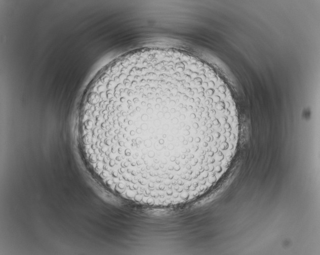X0000116331130201001131019