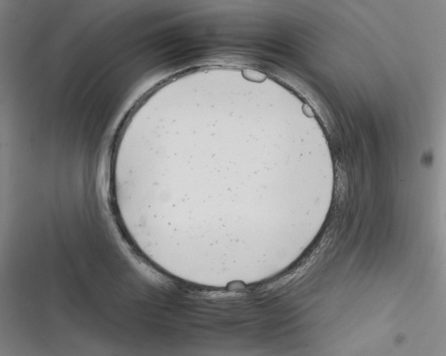 X0000116331131201001131019