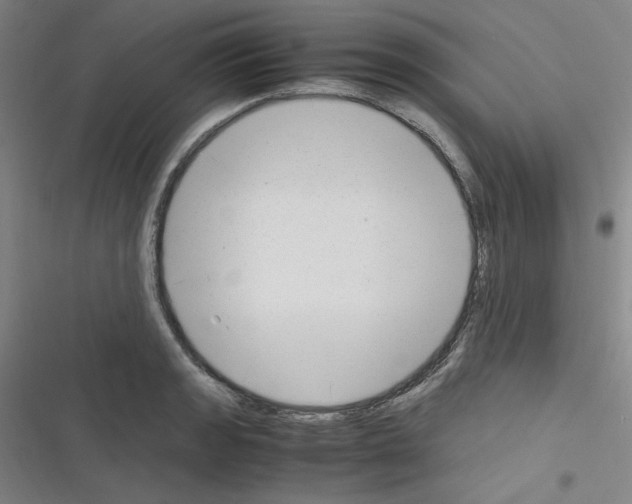 X0000116331133201001131019