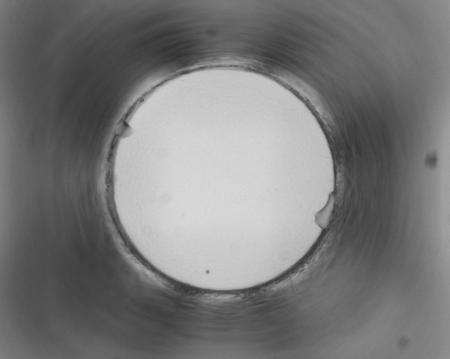 X0000116331135201001131019