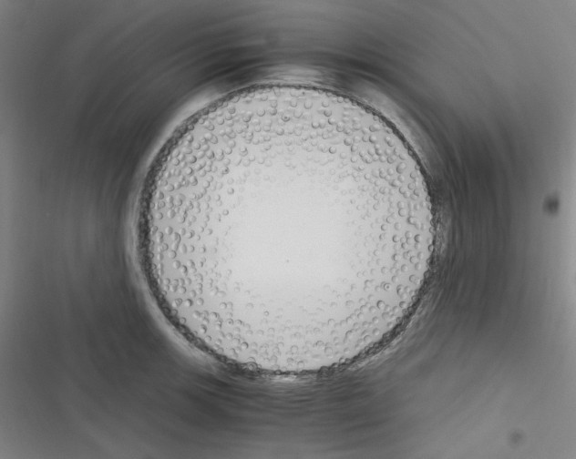 X0000116331139201001131019