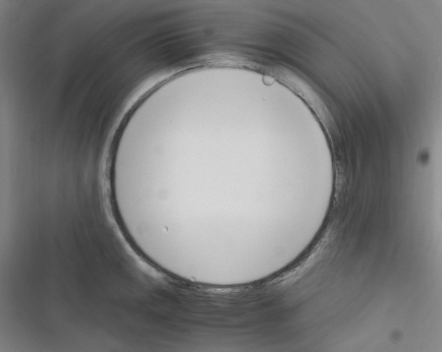 X0000116331141201001131019