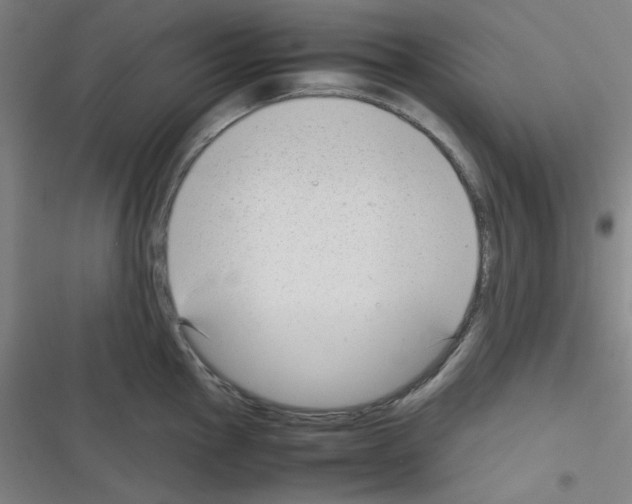 X0000116331145201001131019