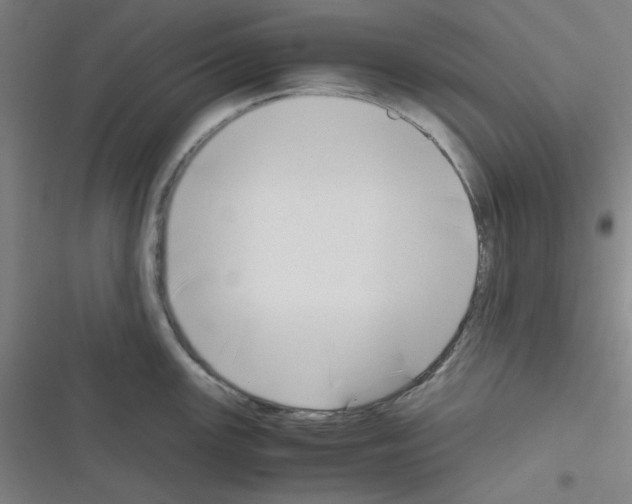 X0000116331147201001131019
