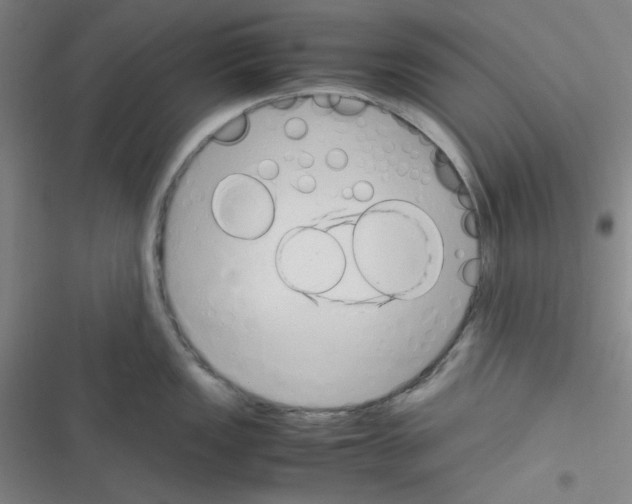 X0000116331149201001131019