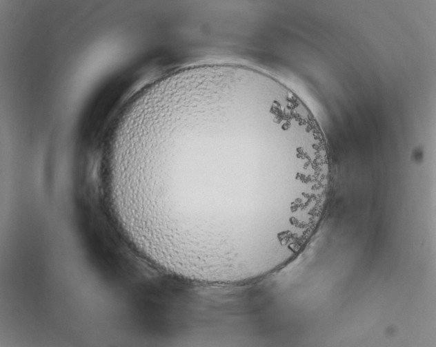 X0000116331150201001131019