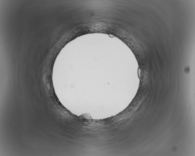 X0000116331153201001131018