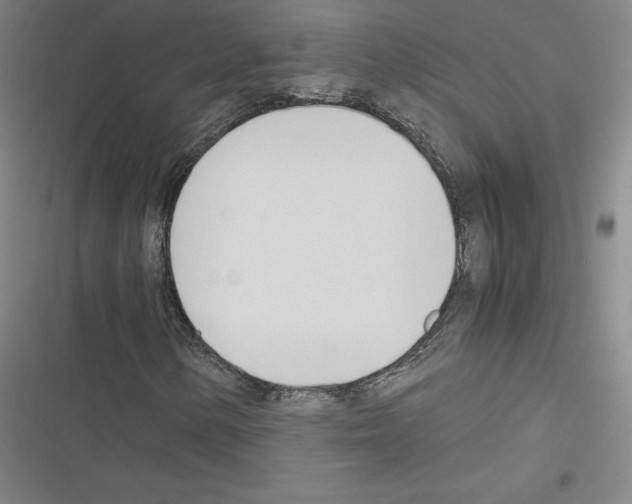 X0000116331154201001131018