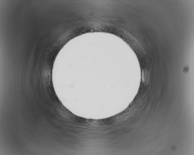 X0000116331155201001131018