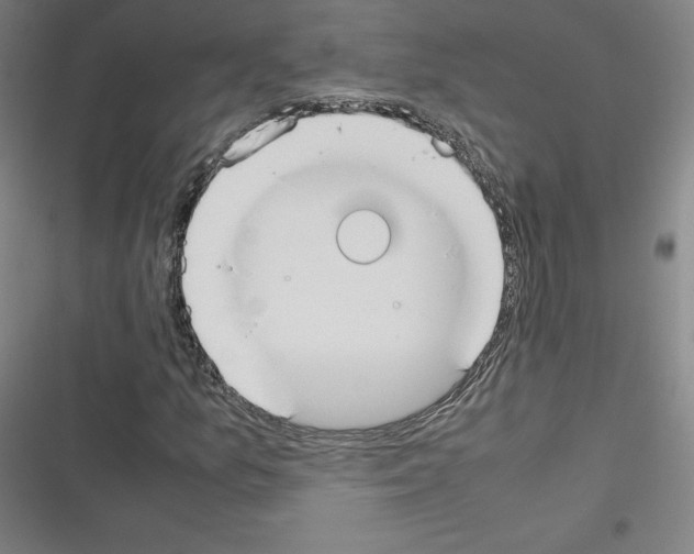 X0000116331157201001131018