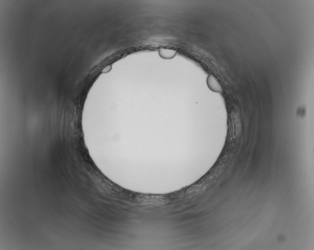 X0000116331158201001131018