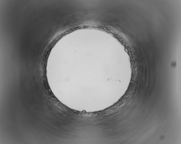 X0000116331160201001131018