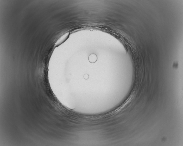X0000116331161201001131018