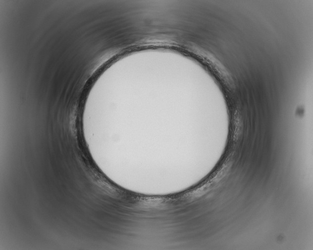 X0000116331162201001131018
