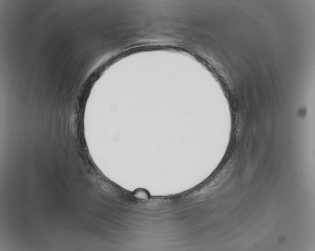 X0000116331163201001131018
