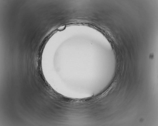X0000116331165201001131018