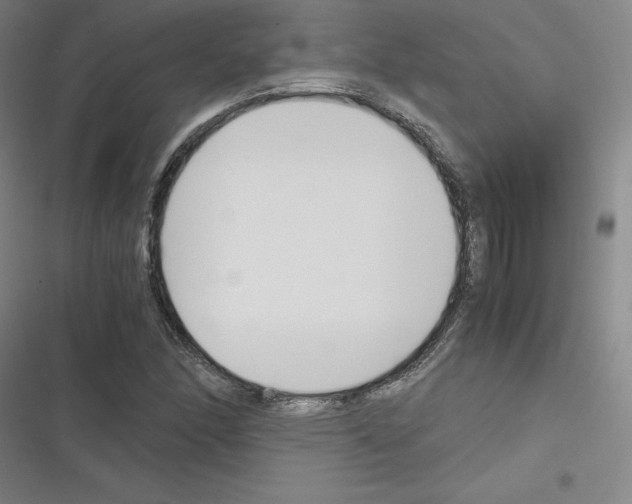 X0000116331166201001131018