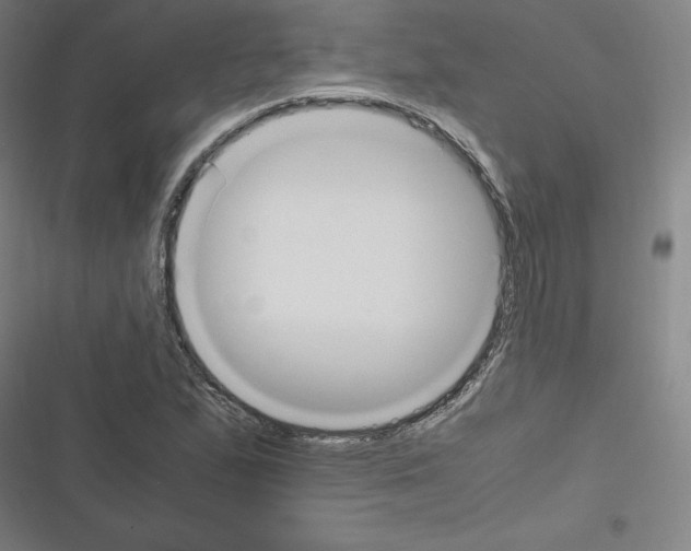 X0000116331167201001131018