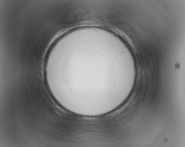 X0000116331168201001131018