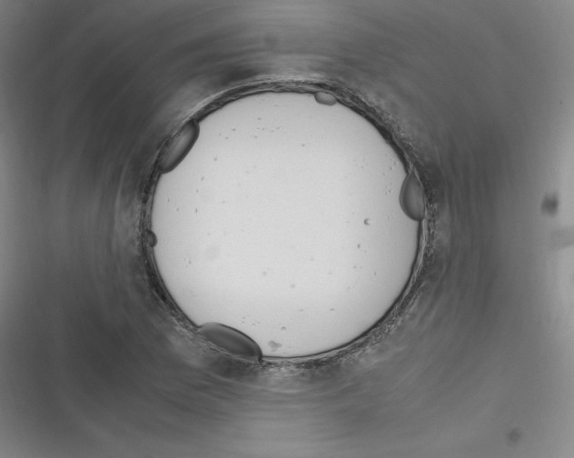 X0000116331169201001131018