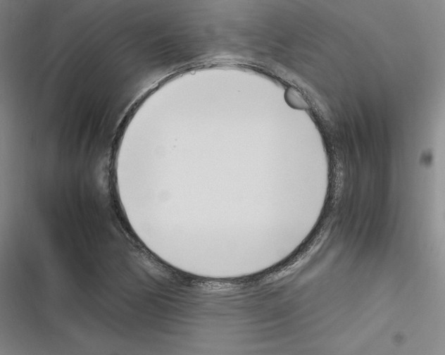 X0000116331170201001131018
