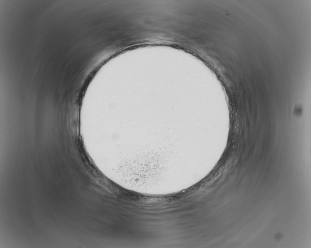 X0000116331171201001131018