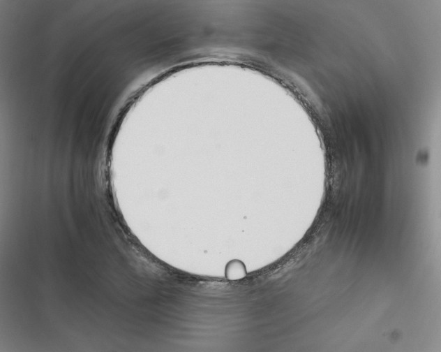 X0000116331172201001131018