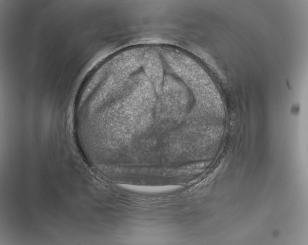 X0000116331173201001131018