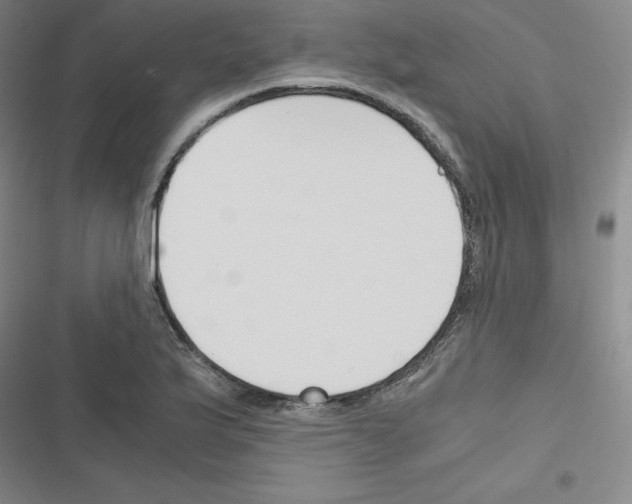 X0000116331175201001131018