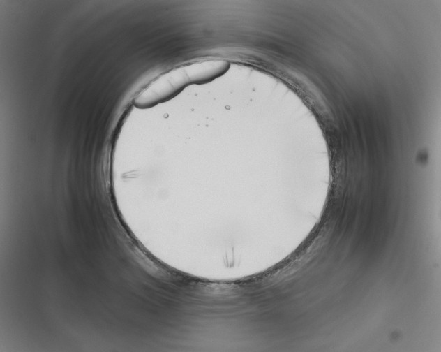 X0000116331180201001131018