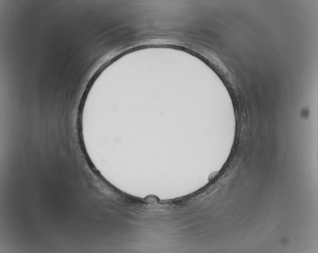 X0000116331181201001131018