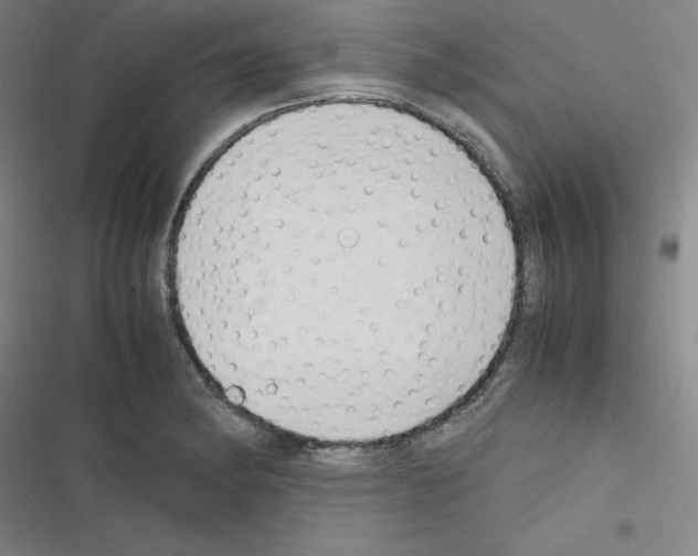 X0000116331182201001131018