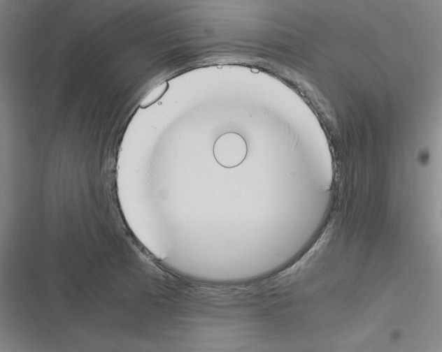 X0000116331185201001131018