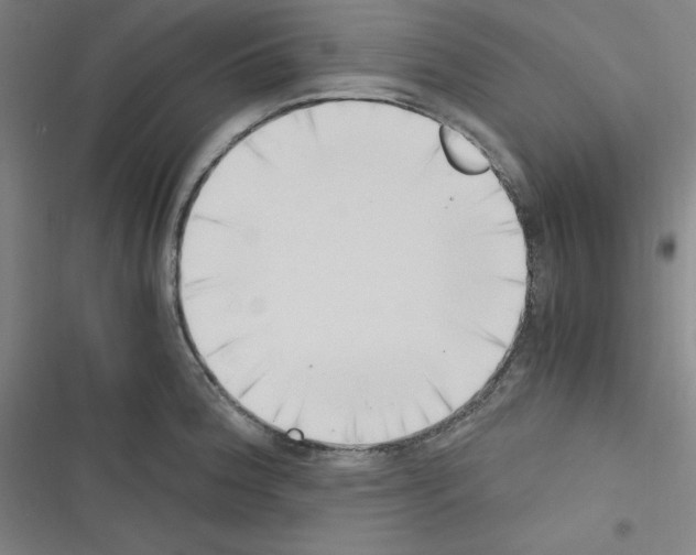 X0000116331188201001131018