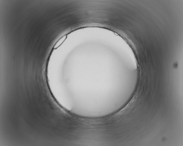 X0000116331189201001131018