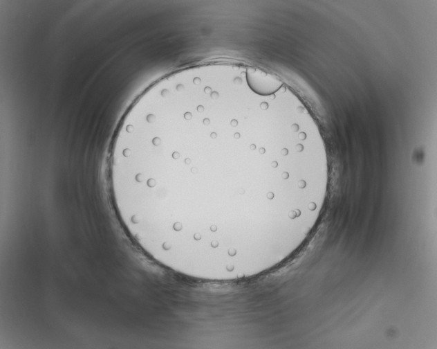 X0000116331190201001131018