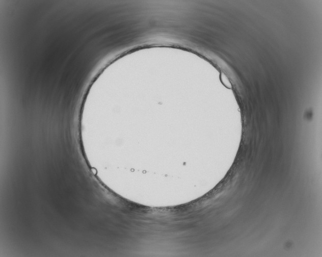 X0000116331191201001131018