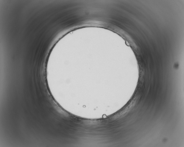 X0000116331192201001131018