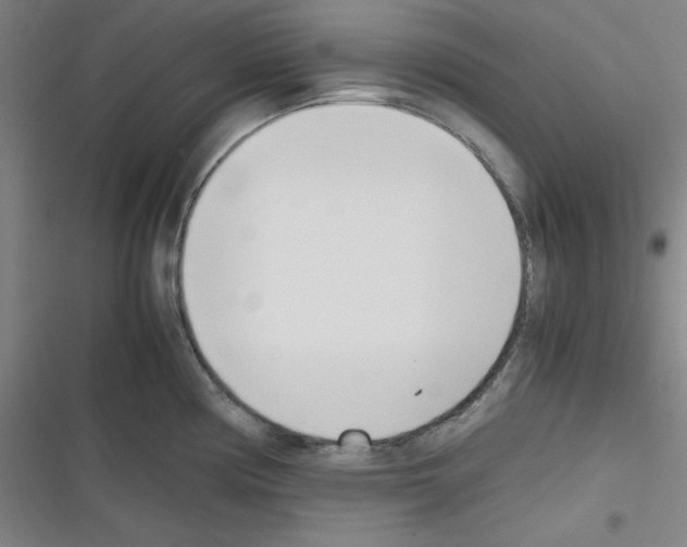 X0000116331194201001131018