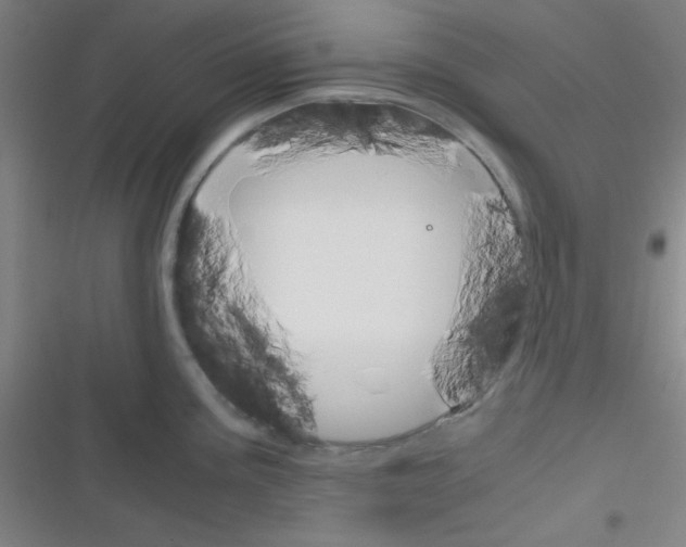 X0000116331195201001131018