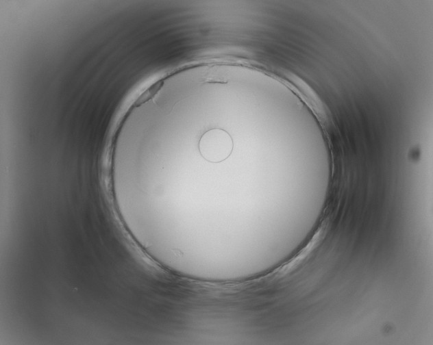 X0000116331196201001131018