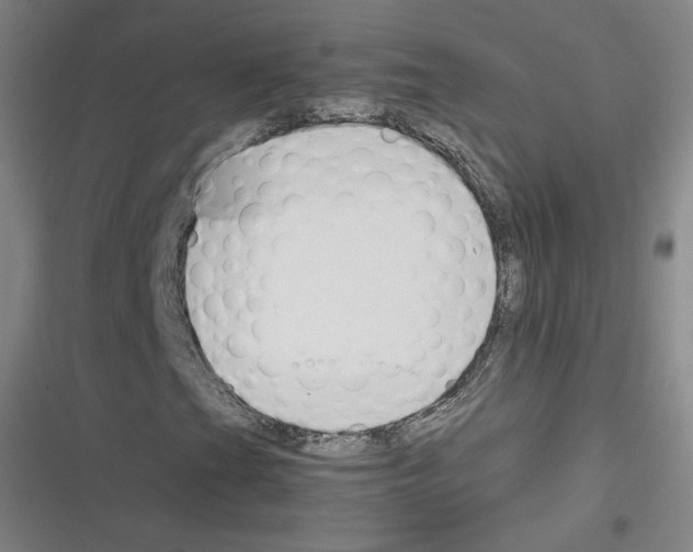 X0000116331201201001131017