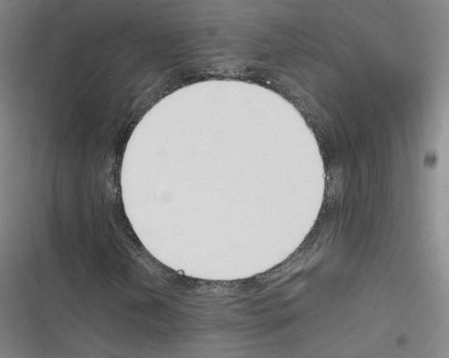 X0000116331202201001131017