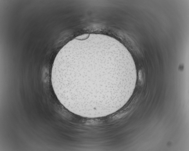 X0000116331203201001131017
