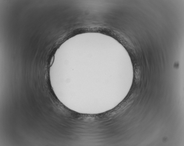 X0000116331204201001131017