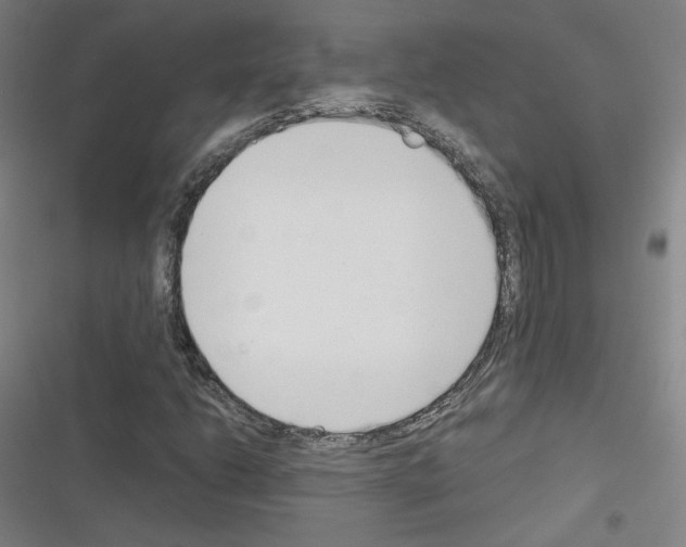 X0000116331206201001131017
