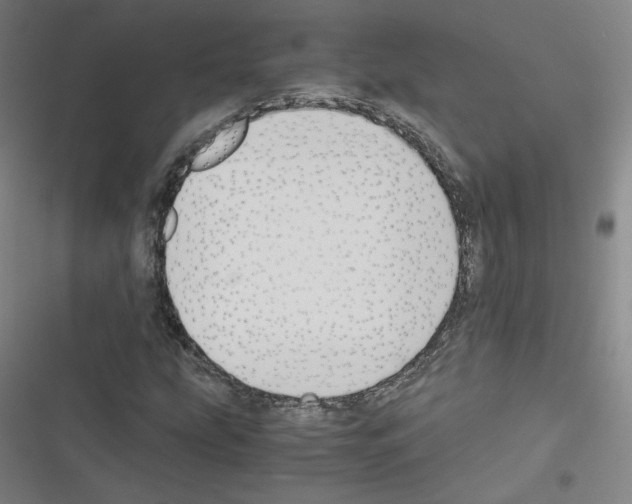 X0000116331207201001131017