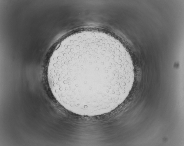 X0000116331208201001131017