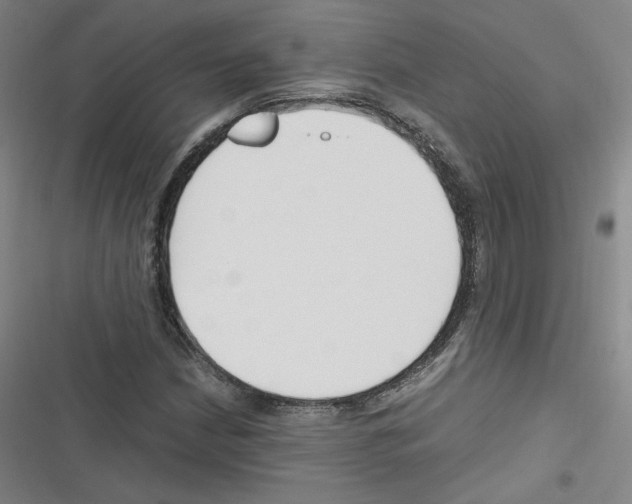X0000116331210201001131017